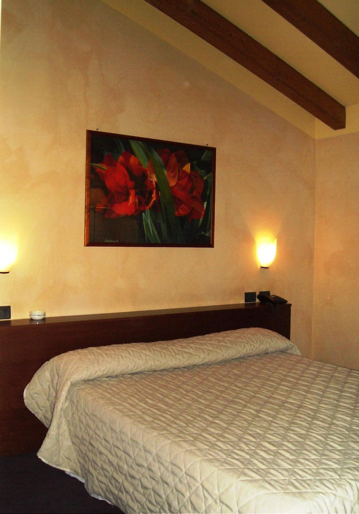 Hotel Parco Castelvetro Piacentino Номер фото